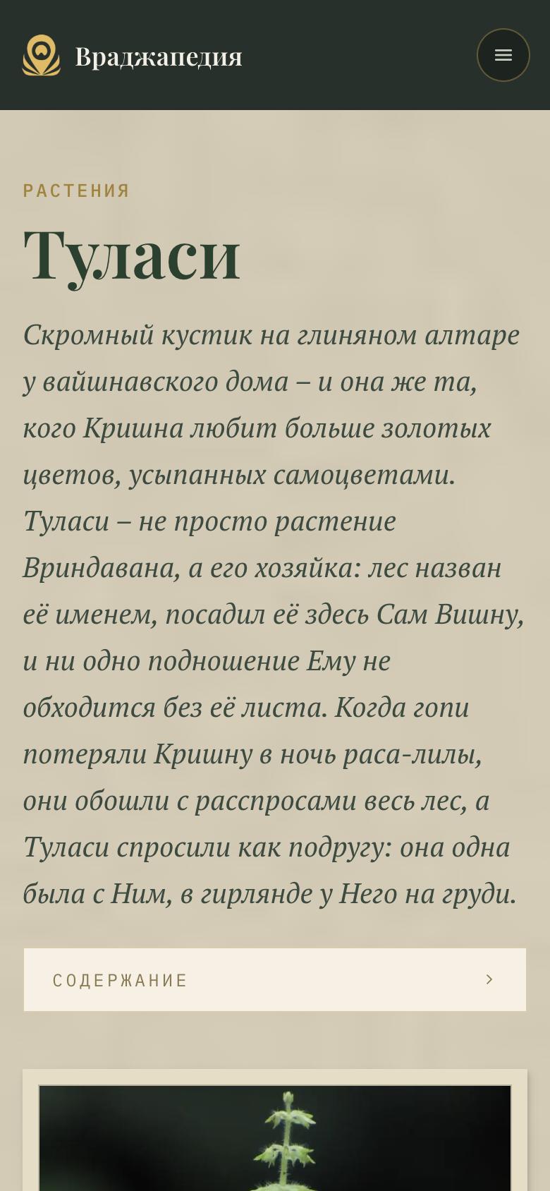 Статья «Туласи»