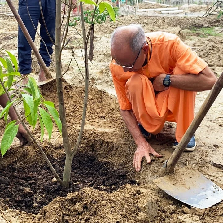 Изначальный лес Враджа